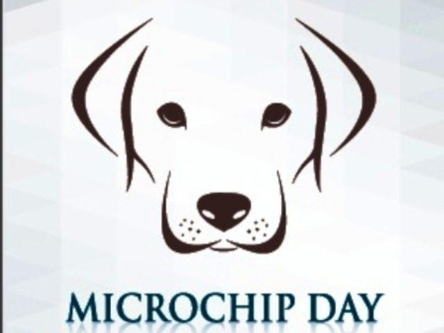 MicrochipDay
